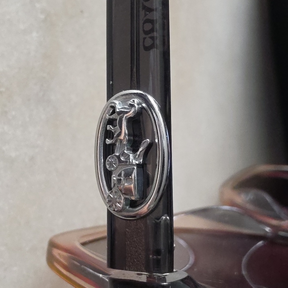 Coach HC8295 Sunglasses - Picture 6 of 6